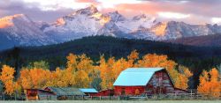 Artist Peter Ramberg Art Photography