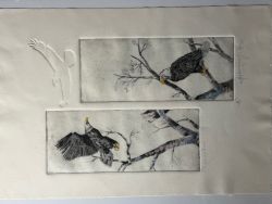 Artist Gretchen Fellerhoff-White Art Etchings